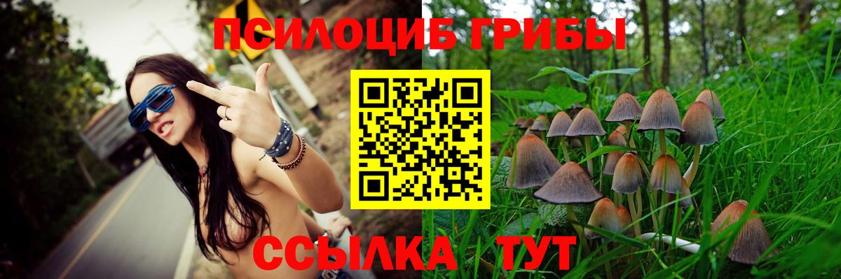 Псилоцибиновые грибы Psilocybe Чапаевск